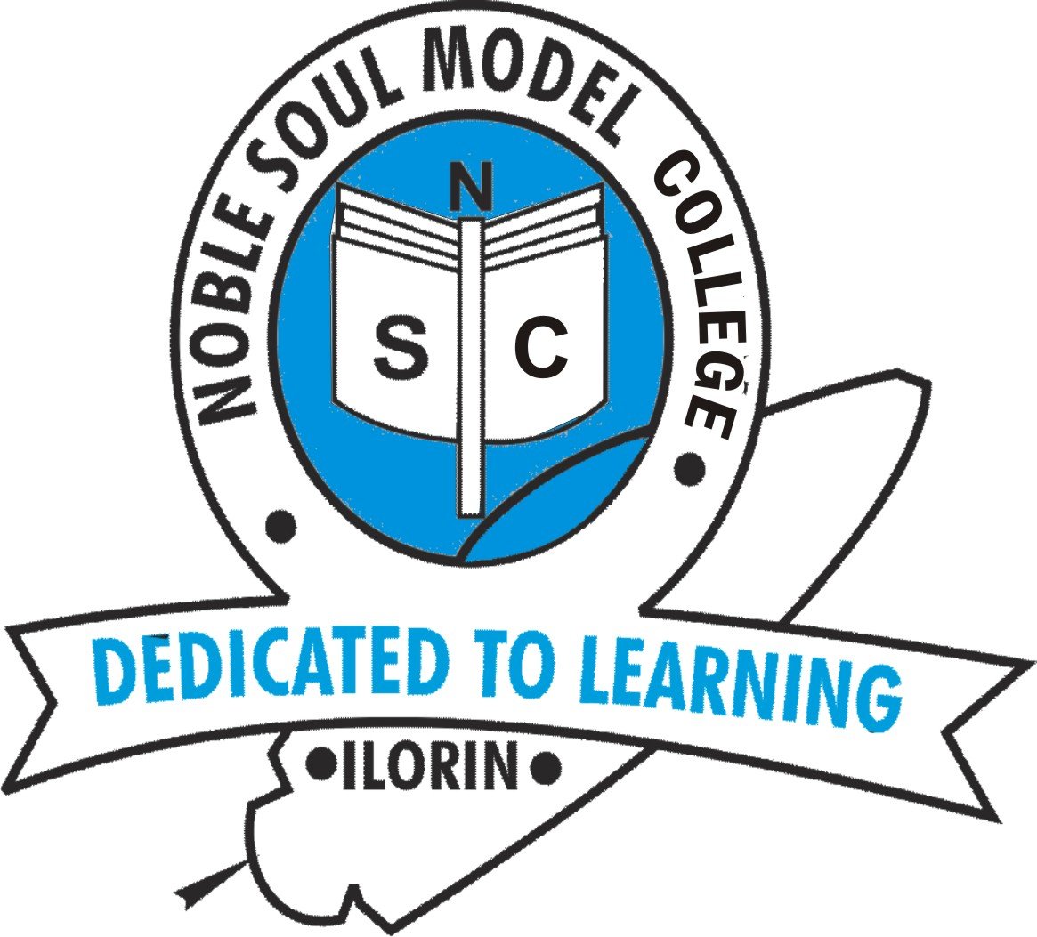 Noble Soul model schools Logo
